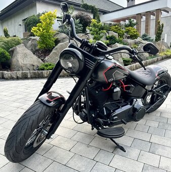 Harley Davidson Softail FLSTF - 3