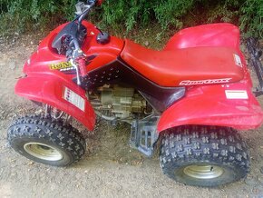 Honda TRX 250 ex - 3