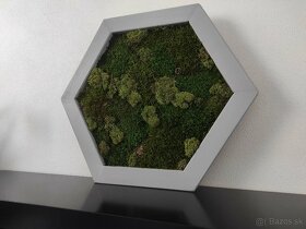 Predám obraz z machu: Hexagon šedý M (50 x 45 cm) - 3