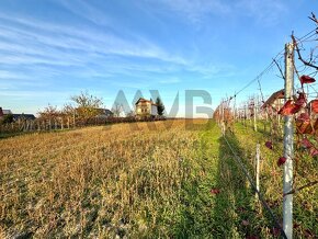 ROZĽAHLÝ POZEMOK S ROZLOHOU VIAC AKO 30 ÁROV | OKRES KOMÁRNO - 3