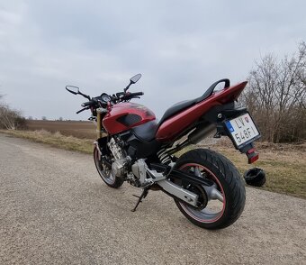 Honda Hornet CB600F - 3