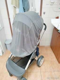 Stokke cruzi - 3