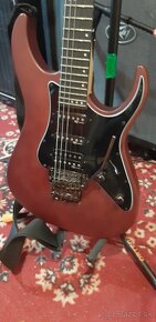 Schecter BANSHEE 6 FR SGR Valnut Satin - 3