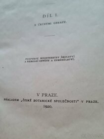 Stará kniha České houby - z roku 1920 - 3