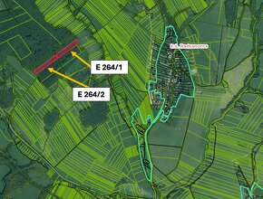 Radvanovce – 2.038 m2 LES – PREDAJ - 3