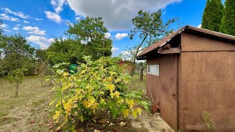 Záhrada s chatkou, Nové Mesto nad Váhom - 3