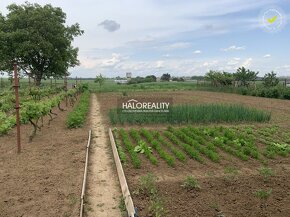 HALO reality - Predaj, pozemok pre rodinný dom   600m2 Golia - 3