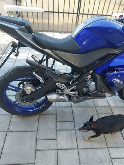 Yamaha YZF-R125 - 3