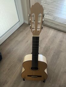 Gitara Pro natura silver 1/2 - 3