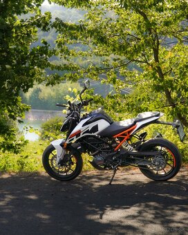 KTM Duke 125 - 3