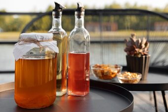 Kombucha čajová huba SCOBY - 3