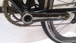 Basso campagnolo - 3