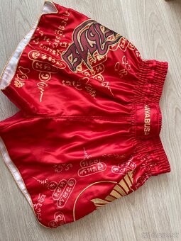 Hayabusa Muay Thai kratase - 3