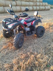 Stvorkolka FX ATV 200cc - 3