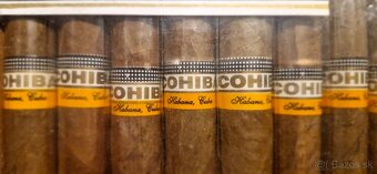 Cigary Cohiba Espléndidos - 3