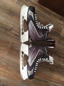 Bauer Vapor X50 - 3