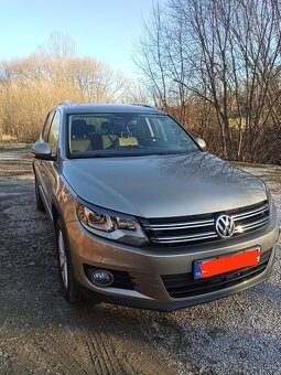 Tiguan - 3