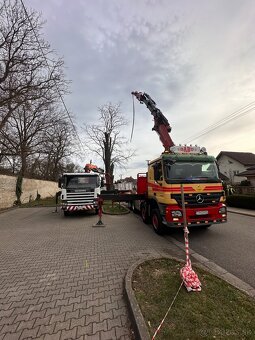 Rizikové pílenie stromov, pracovná plošina 16-37m - 3