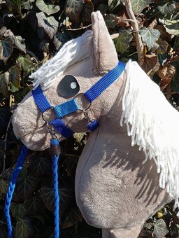 Hobby horse - 3