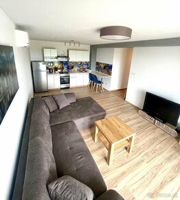 3 izbový apartmán na Zemplínskej šírave - 3