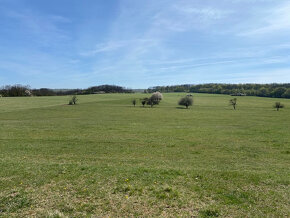 Investičný pozemok v Čabradskom Vrbovku, 92000 m2 - 3