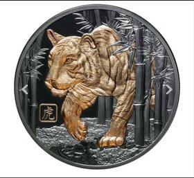 Rok tigra - 5 OZ LUNÁRNA SÉRIA - 3