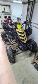 Yamaha Raptor 660 - 3