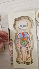 Drevené puzzle anatómia ľudského tela - 3