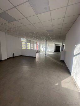 Na prenájom obchodné priestory 100m2 / 110m2 / 250m2 - Voľné - 3