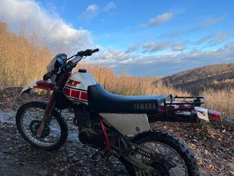 Yamaha xt 350 (pokazena) - 3