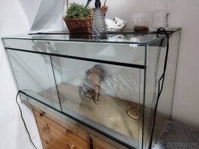 Terarium plus agamka - 3