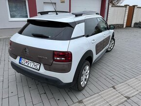 C4 Cactus - 3