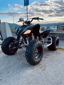 Yamaha Raptor 250 - 3