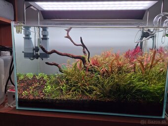 Na prodej 64L optiwhite zarizene akvarium (aquascape) - 3