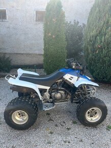 Yamaha warrior 350 - 3