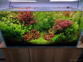 Akvarium - 3