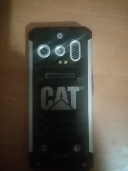 Cat - 3