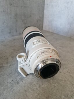 CANON EF 300mm f/4 L IS - 3