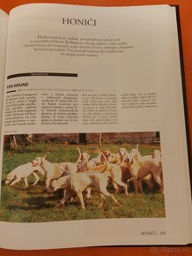 POĽOVNÍCTVO- poľovné psy, Myslivost, encyklopedia- 100% - 3