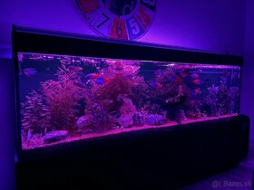 WRGB led svetlo na akvárium 200cm/180w - 3