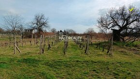 HALO reality - Predaj, rekreačný pozemok Žemberovce, s vinič - 3