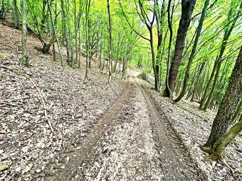 Veľkorysý pozemok na samote v obci Vyhne (Žiar nad Hronom - 3