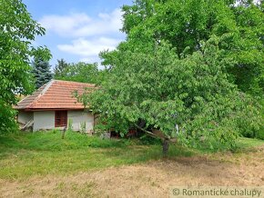 Viničný domček s 22-árovým ovocným sadom pri Vrábloch na p - 3