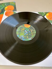 LP Lana Del Rey - Violet Bent Backwards Over The Grass - 3