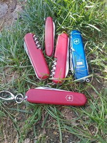 VICTORINOX MIKOV SANDRIK - 3