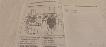 TOYOTA AVENSIS T25 - návod k obsluze - příručka uživatele - 3