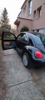 Volkswagen Beetle - 3