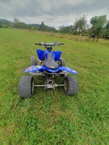 Yamaha raptor 250 - 3