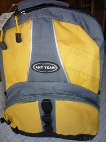 Detský ruksak ANT TEAM - 3