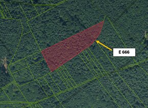 Ihrište - 11.394 m2 LESNÝCH POZEMKOV - Na predaj - 3